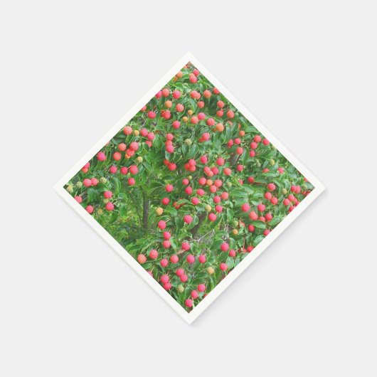 Kousa Dogwood Berries Serviette (Ecke)