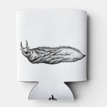 Kover und Definition