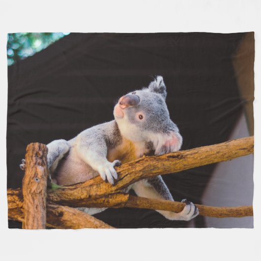 KOWALA BÄR FLEECEDECKE (Vorderseite (Horizontal))