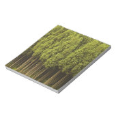 Koya Sugi Cedar Trees Notizblock (Rotiert)