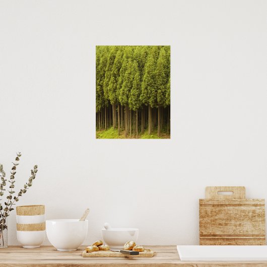 Koya Sugi Cedar Trees Poster (Küche)