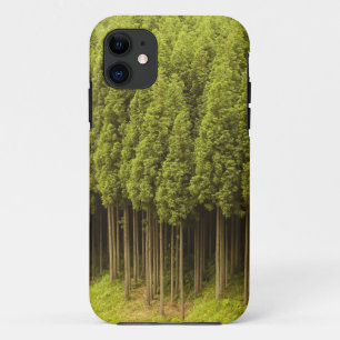 Koya Sugi Zedern-Bäume iPhone 11 Hülle
