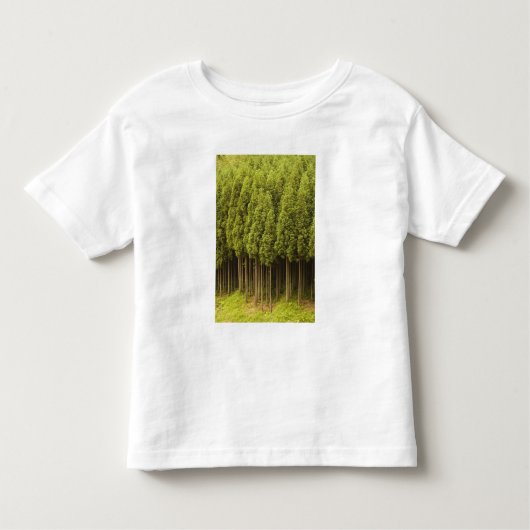 Koya Sugi Zedern-Bäume Kleinkind T-shirt (Vorderseite)