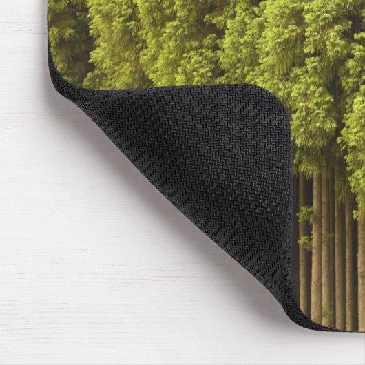 Koya Sugi Zedern-Bäume Mousepad (Ecke)