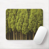 Koya Sugi Zedern-Bäume Mousepad (Mit Mouse)