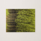 Koya Sugi Zedern-Bäume Puzzle (Horizontal)