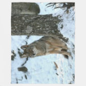 KOYOTE IN DER WILD FLEECEDECKE (Vorderseite)