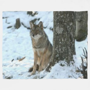 KOYOTE IN DER WILD FLEECEDECKE