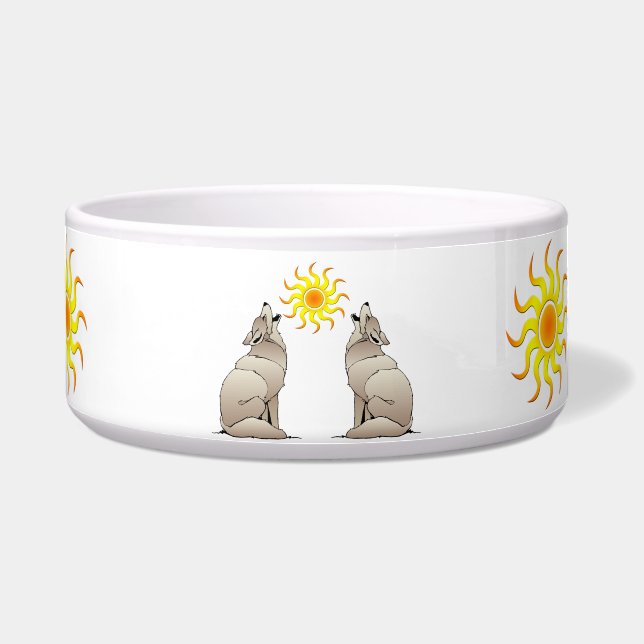 KOYOTES, DIE EINEN SOUTHWESTERSUN LEBENDEN NAPF (Vorderseite)