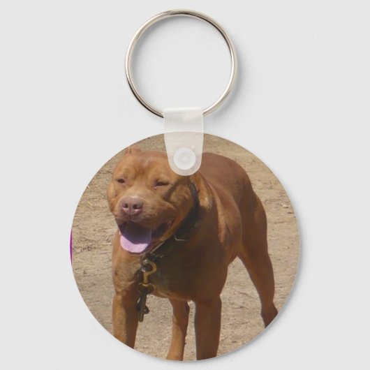 KozMoeKeyChain Schlüsselanhänger (Vorderseite)