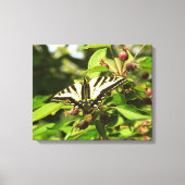 Krabapel und Schmetterling Leinwanddruck (Vorderseite)