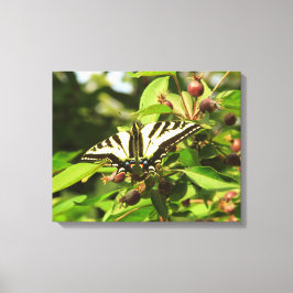 Krabapel und Schmetterling Leinwanddruck