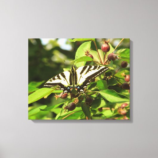 Krabapel und Schmetterling Leinwanddruck (Vorderseite)