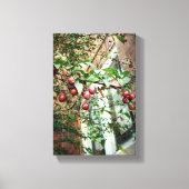 Krabapfel Leinwanddruck (Vorderseite)