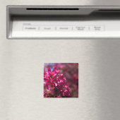 Krabapfelschatten Magnet (In Situ (Geschirrspüler))