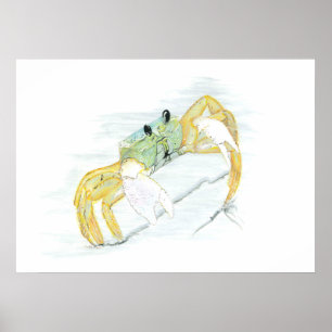 Krabbe am Strand Poster