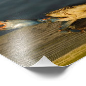 Krabbe auf Holz 8x10 drucken Fotodruck (Ecke)