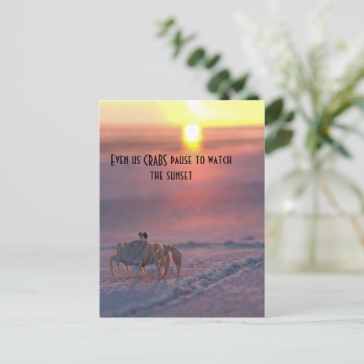 Krabbe beim Sonnenuntergang Postkarte (Stehend Vorderseite)