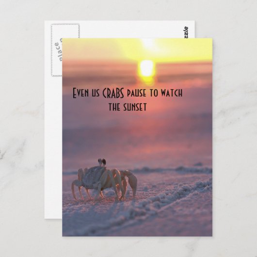 Krabbe beim Sonnenuntergang Postkarte (Vorne/Hinten)