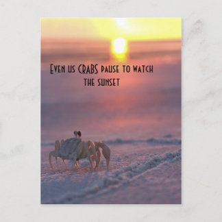 Krabbe beim Sonnenuntergang Postkarte