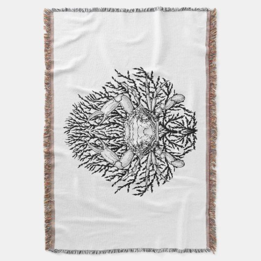 Krabbe Decke (Vorderseite Vertikal)