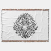 Krabbe Decke (Vorderseite)