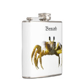 Krabbe Flachmann (Rechts)