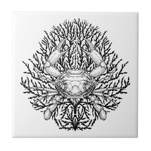 Krabbe Fliese (Vorderseite)