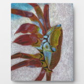 Krabbe Fotoplatte (Vorderseite)