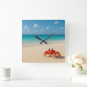 Krabbe im Fokus - Uhr (Zuhause)