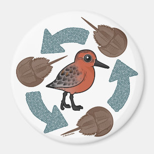 Krabbe-Knoten Zyklus Magnet