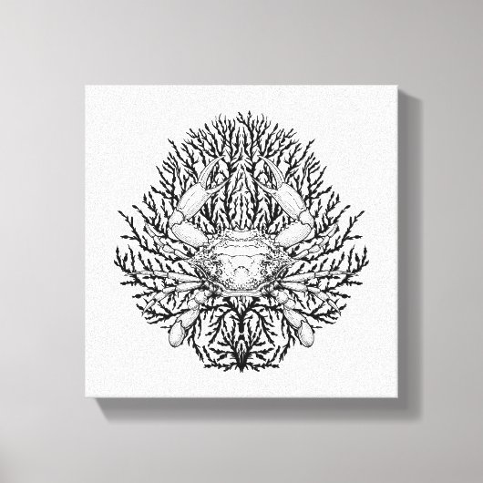 Krabbe Leinwanddruck (Vorderseite)