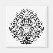 Krabbe Magnet (Vorne)