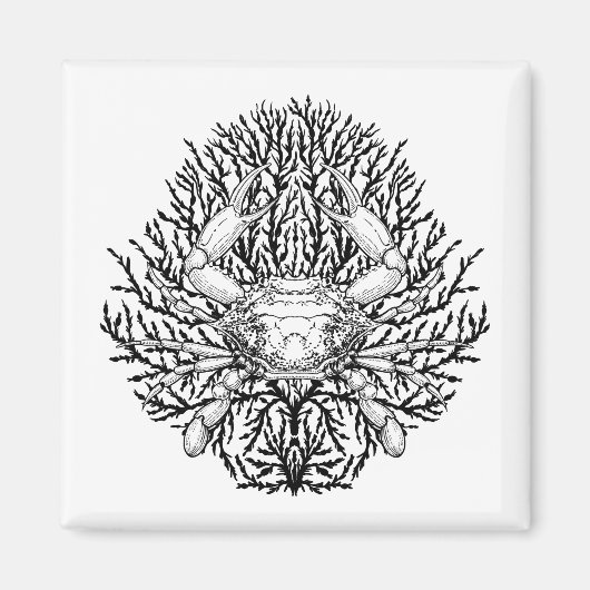 Krabbe Magnet (Vorne)