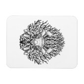 Krabbe Magnet (Horizontal)