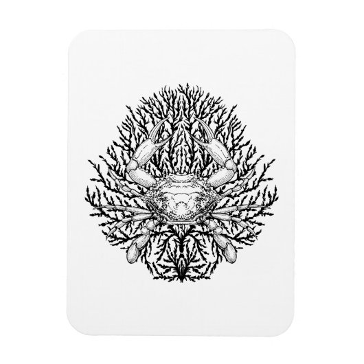 Krabbe Magnet (Vertikal)