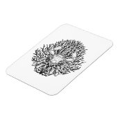 Krabbe Magnet (Linke Seite)