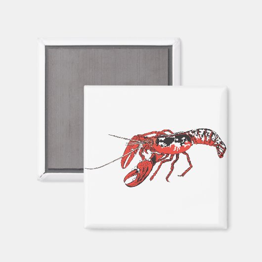 Krabbe Magnet (Vorderseite/Rückseite)