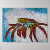 Krabbe Poster (Vorne)