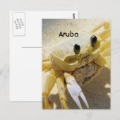 Krabbe Postkarte (Vorne/Hinten)