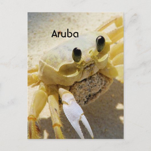 Krabbe Postkarte (Vorderseite)