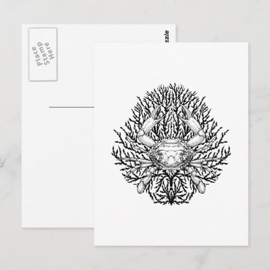 Krabbe Postkarte (Vorne/Hinten)