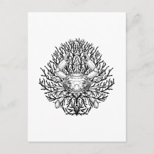 Krabbe Postkarte