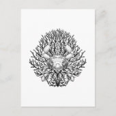 Krabbe Postkarte (Vorderseite)