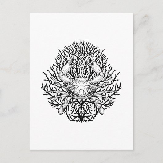 Krabbe Postkarte (Vorderseite)