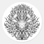 Krabbe Runder Aufkleber (Vorderseite)