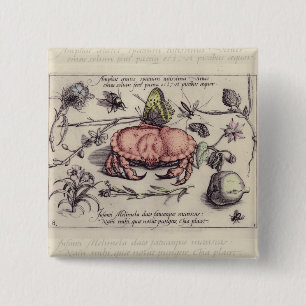 Krabben-Botanik-Insekt-Blumen-Illustration Button