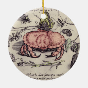 Krabben-Botanik-Insekten-Blumen-Illustration Keramik Ornament