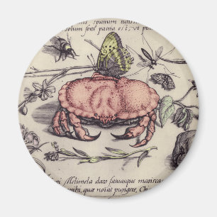 Krabben-Botanik-Insekten-Blumen-Illustration Magnet