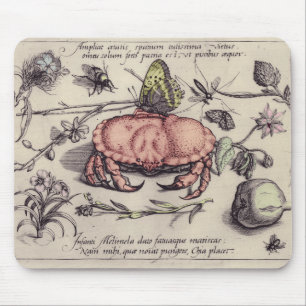 Krabben-Botanik-Insekten-Blumen-Illustration Mousepad